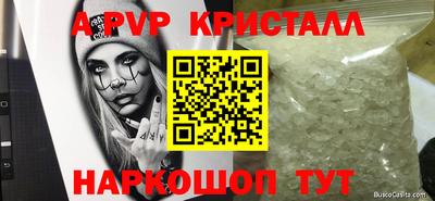 крисы Беслан