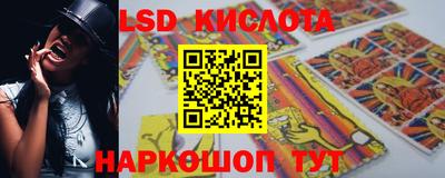 шишки Берёзовский