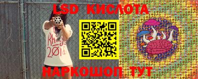 jwh Бийск