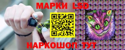 jwh Бийск